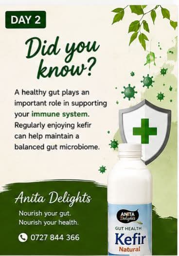 Healthy gut supports immune system