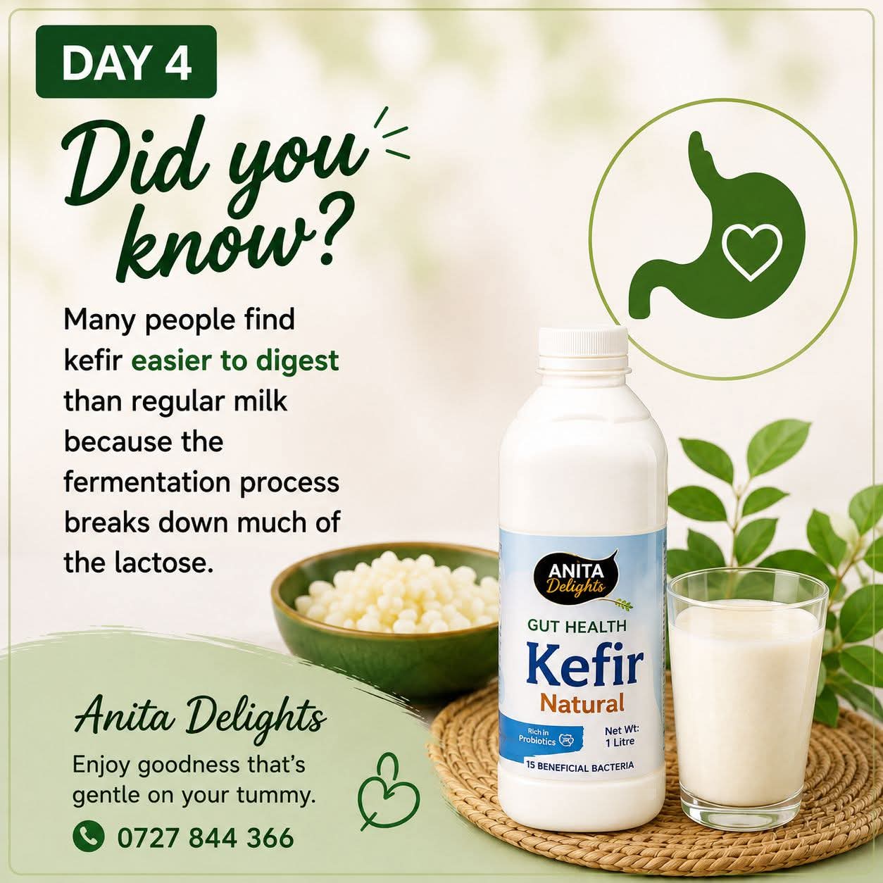 Kefir is easier to digest than regular milk