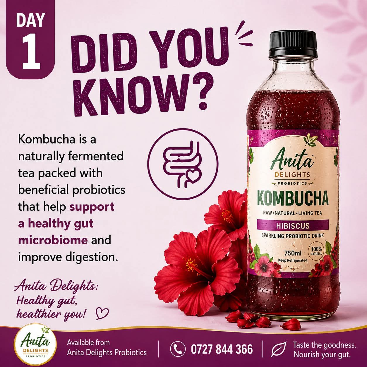 Anita Delights Kombucha Hibiscus
