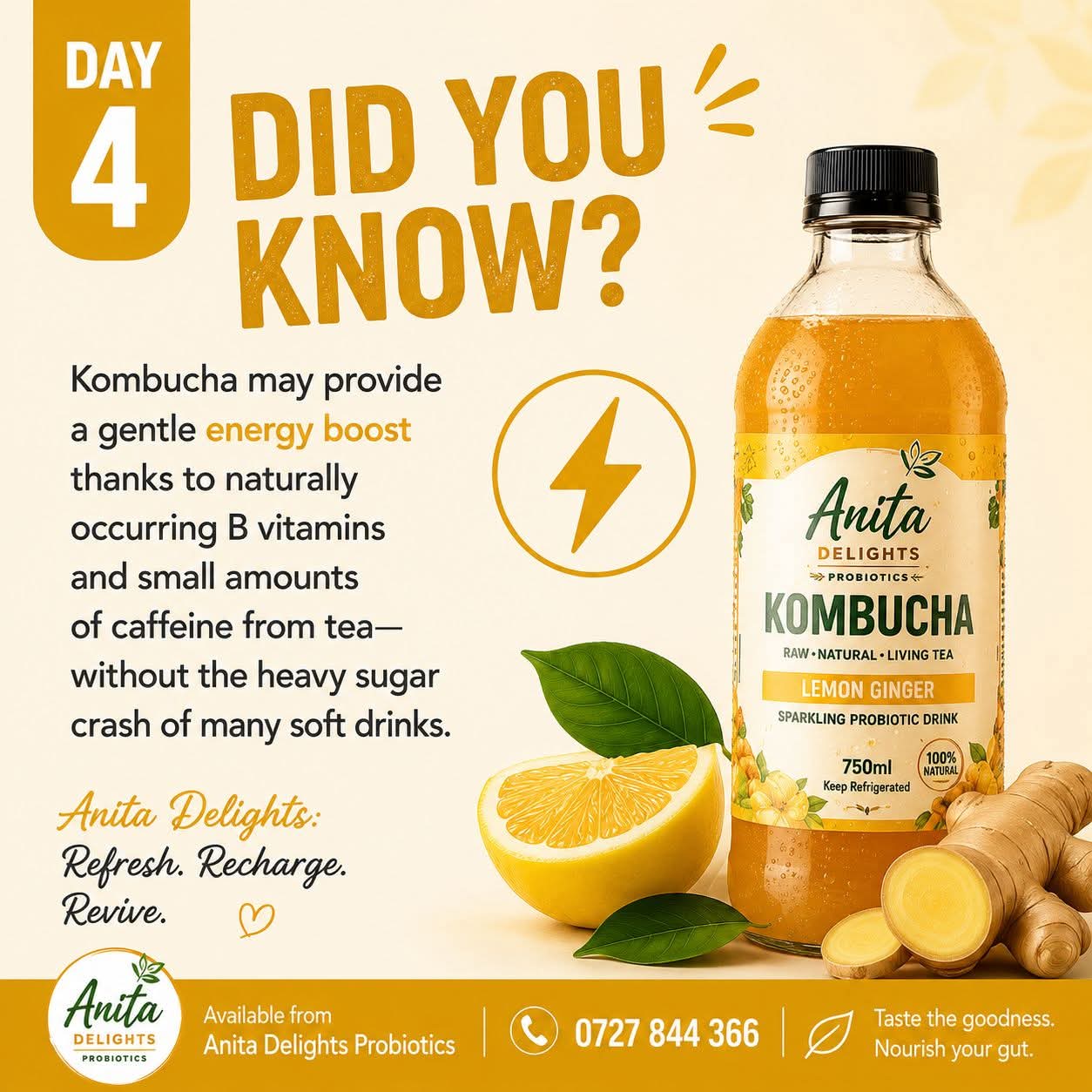 Anita Delights Kombucha Lemon Ginger
