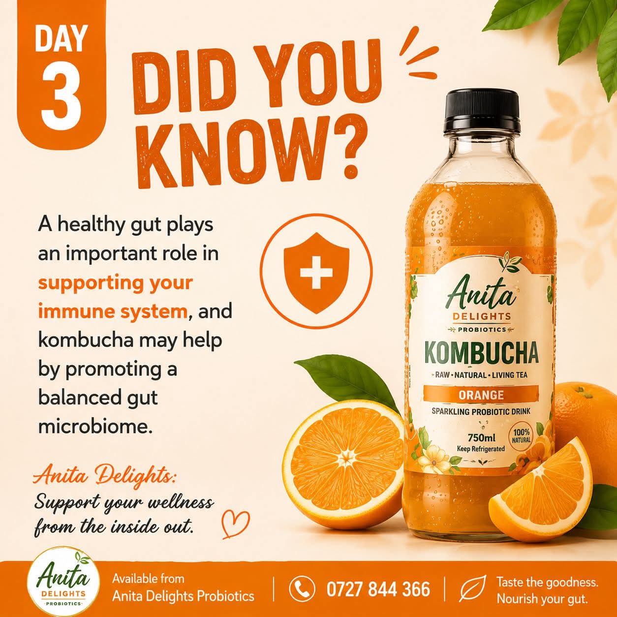 Anita Delights Kombucha Orange
