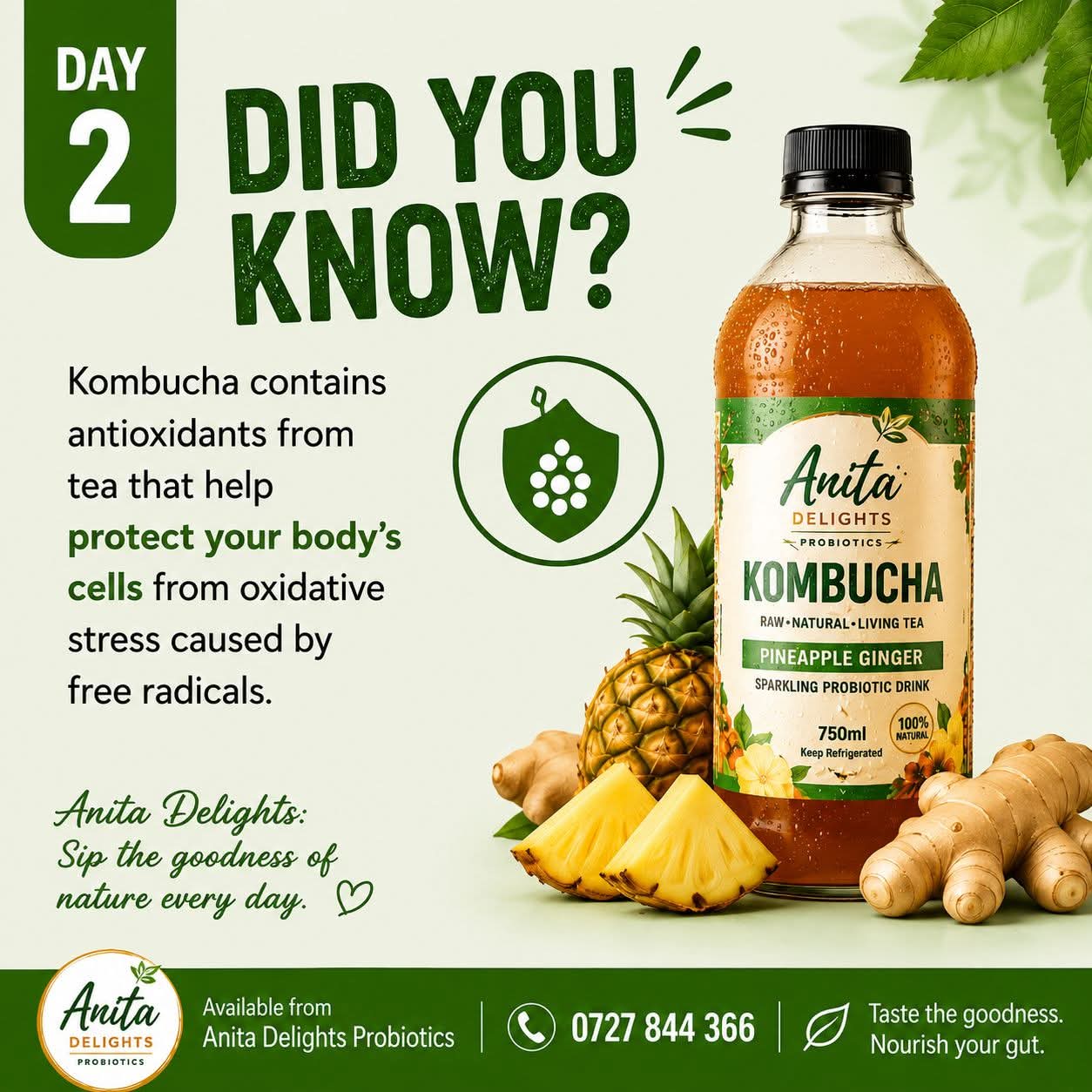 Anita Delights Kombucha Pineapple Ginger